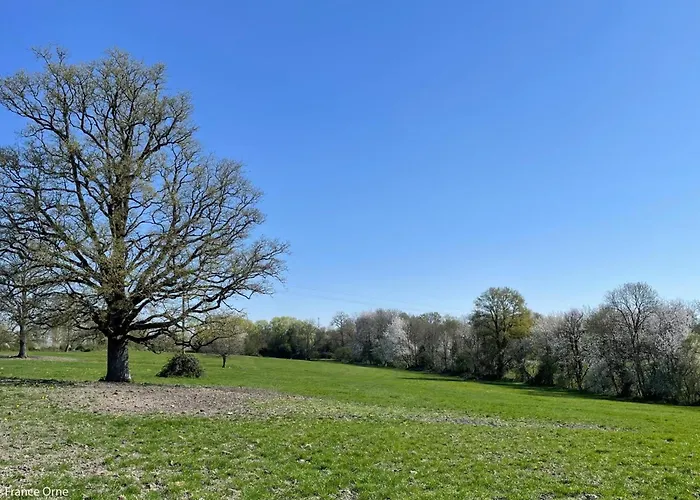 Dom wakacyjny Charmante Maison En Pierres Avec Wifi, Pres De Mortagne-au-perche - Fr-1-497-241 *